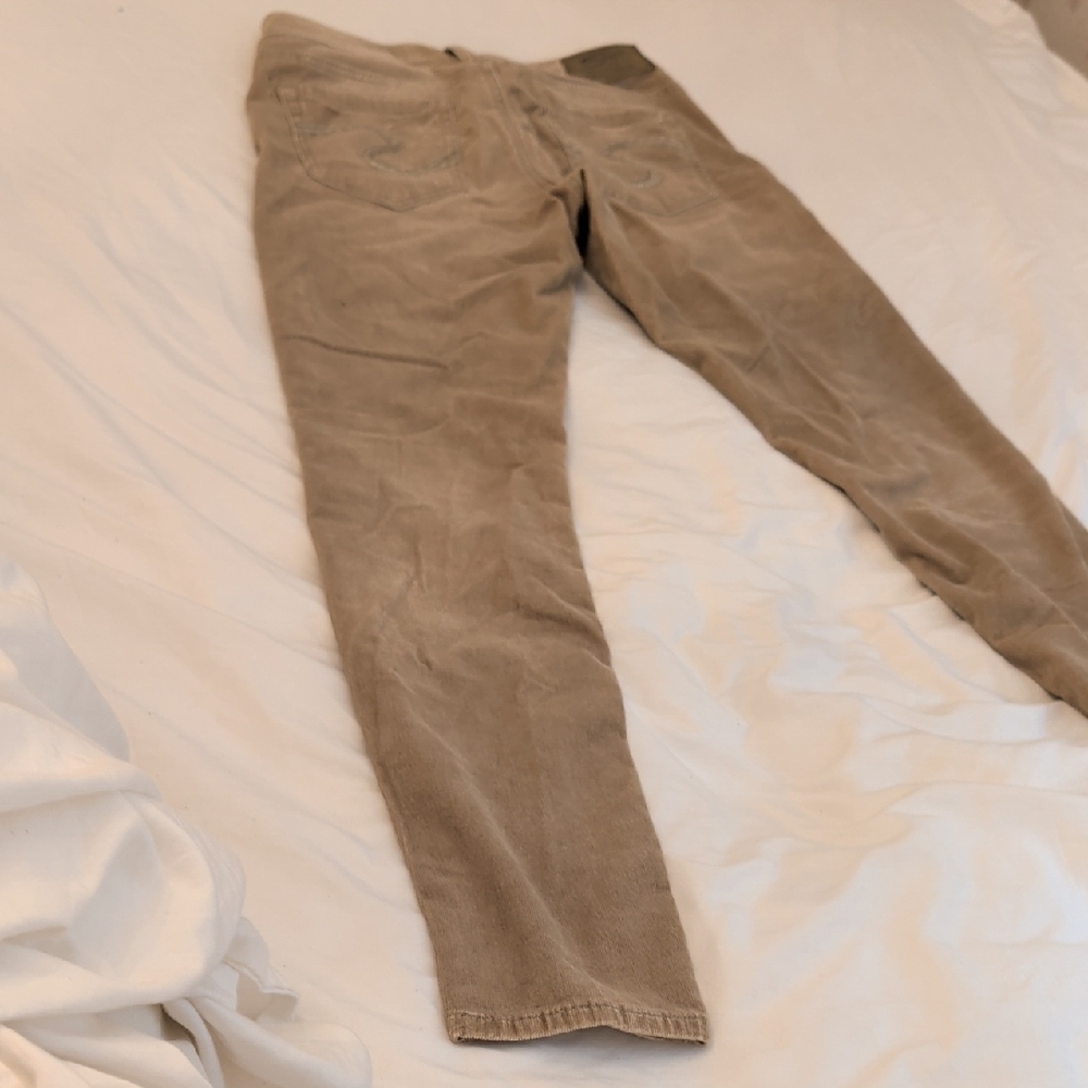 Silver Jeans Women's Boot Cut in Tan